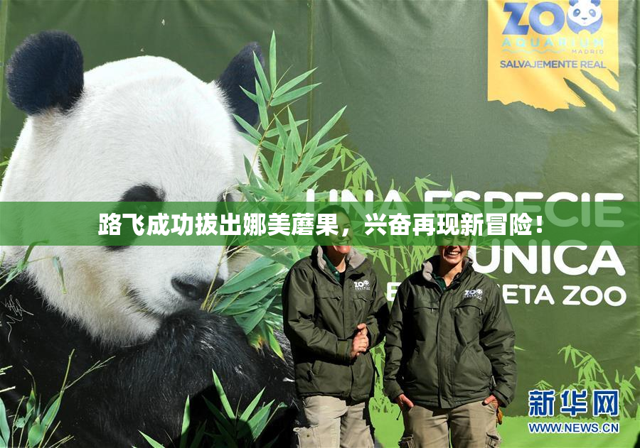 路飞成功拔出娜美蘑果，兴奋再现新冒险！