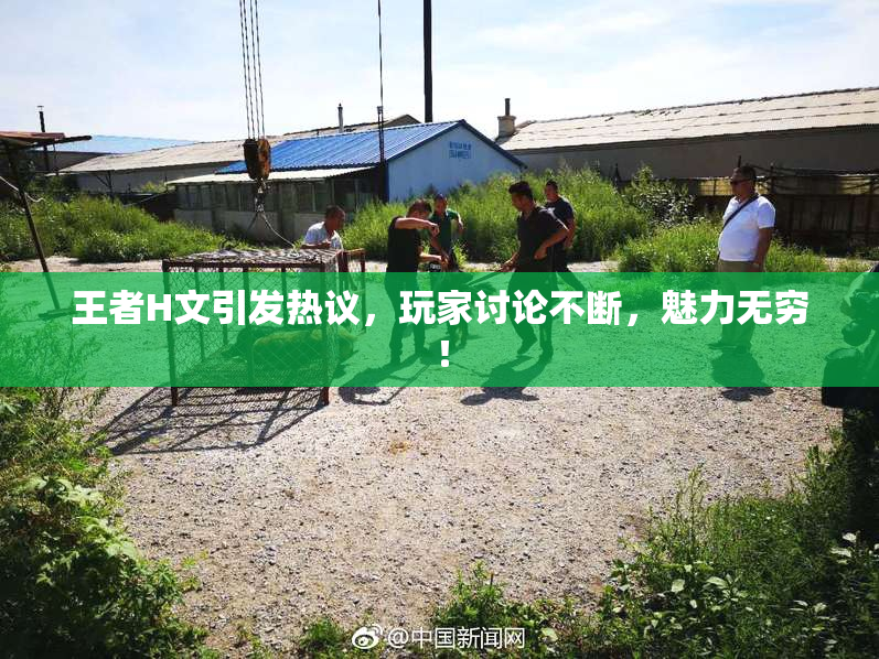王者H文引发热议，玩家讨论不断，魅力无穷！