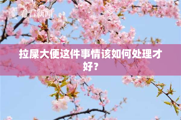 拉屎大便这件事情该如何处理才好？