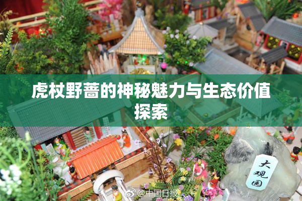 虎杖野蔷的神秘魅力与生态价值探索