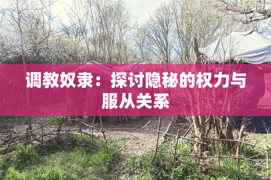 调教奴隶：探讨隐秘的权力与服从关系