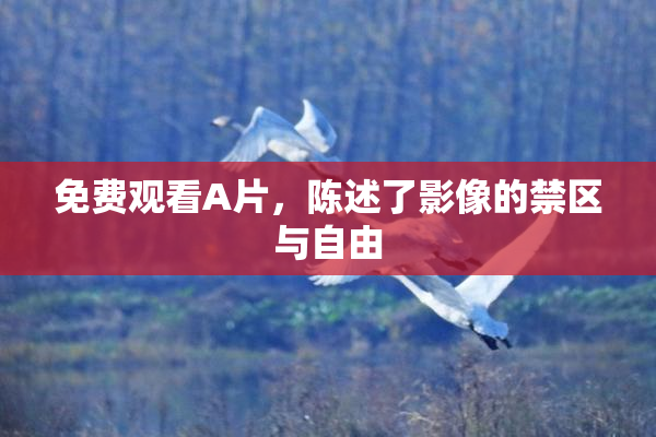 免费观看A片，陈述了影像的禁区与自由