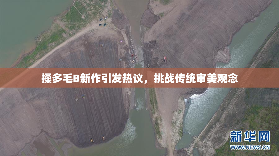 搡多毛B新作引发热议，挑战传统审美观念