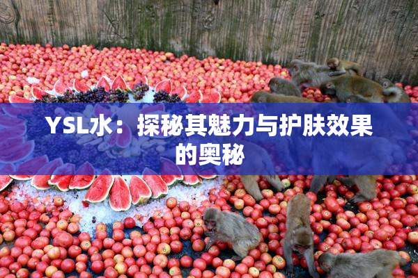YSL水：探秘其魅力与护肤效果的奥秘