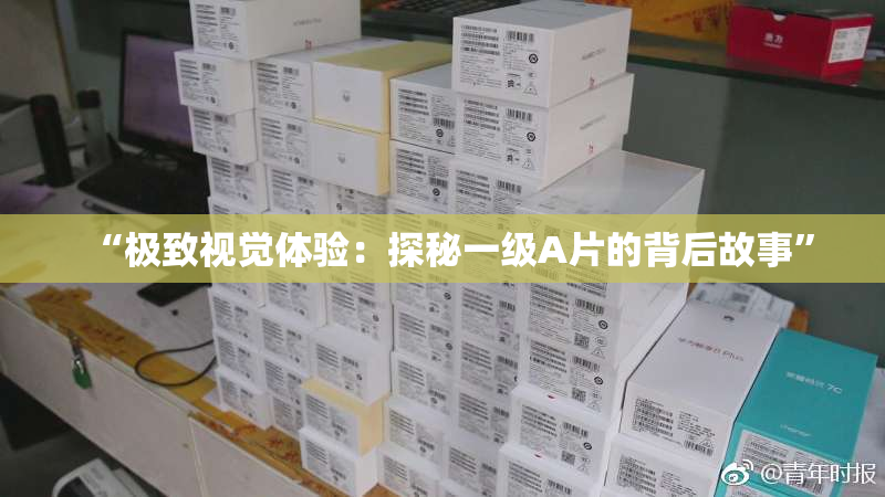 “极致视觉体验：探秘一级A片的背后故事”