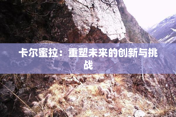 卡尔蜜拉：重塑未来的创新与挑战