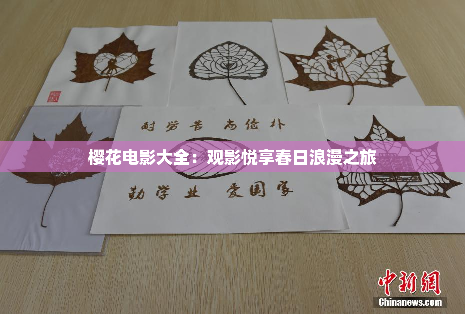 樱花电影大全：观影悦享春日浪漫之旅