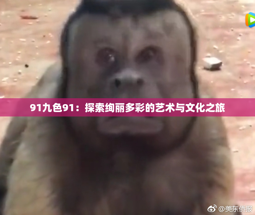 91九色91：探索绚丽多彩的艺术与文化之旅