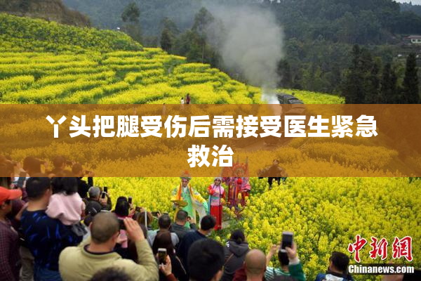 丫头把腿受伤后需接受医生紧急救治