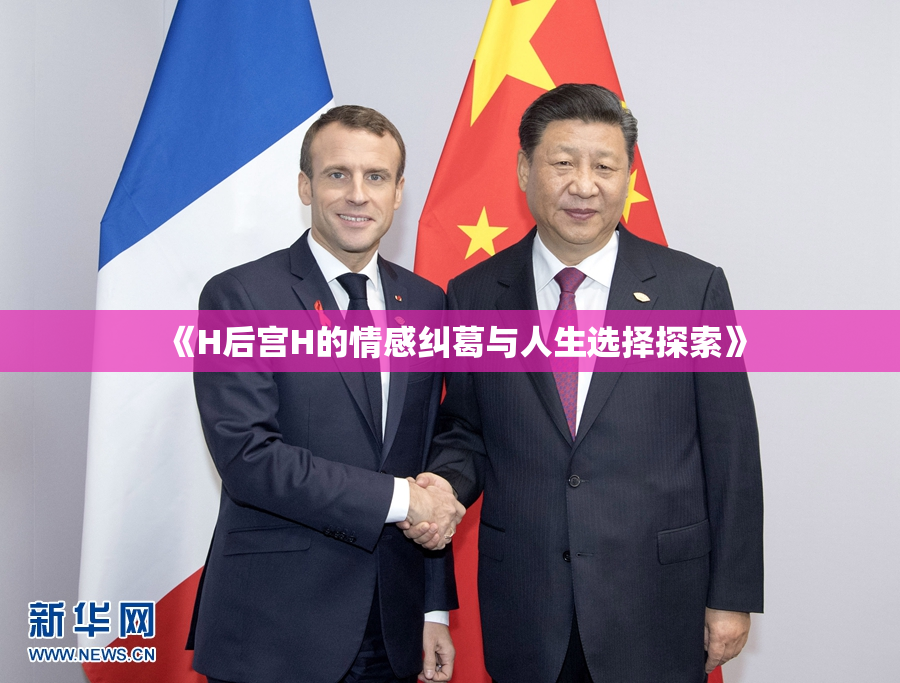 《H后宫H的情感纠葛与人生选择探索》