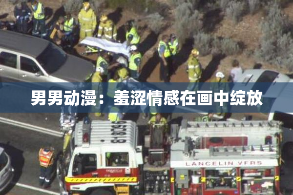 男男动漫：羞涩情感在画中绽放