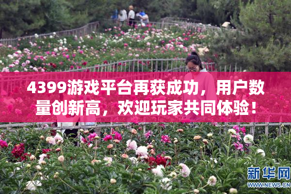 4399游戏平台再获成功，用户数量创新高，欢迎玩家共同体验！