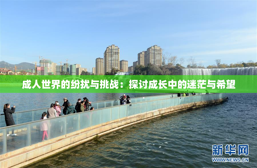 成人世界的纷扰与挑战：探讨成长中的迷茫与希望