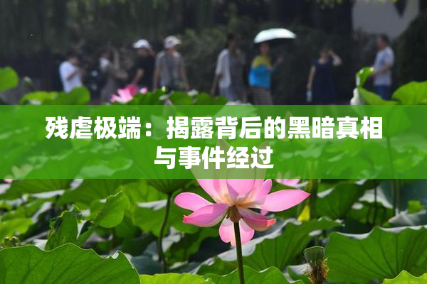 残虐极端：揭露背后的黑暗真相与事件经过