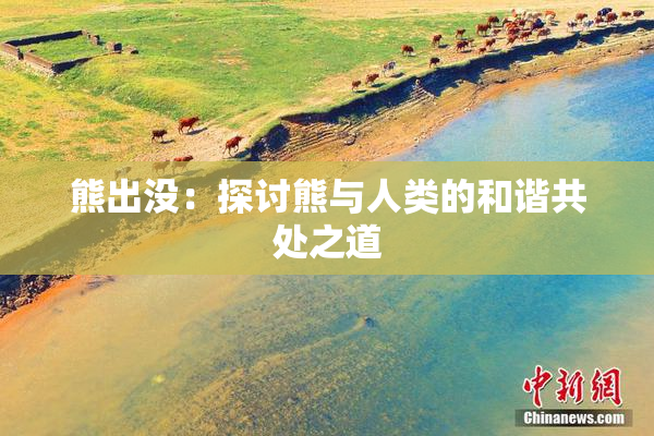 熊出没：探讨熊与人类的和谐共处之道