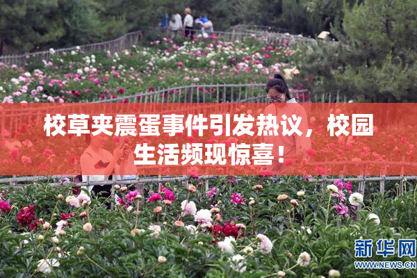 校草夹震蛋事件引发热议，校园生活频现惊喜！
