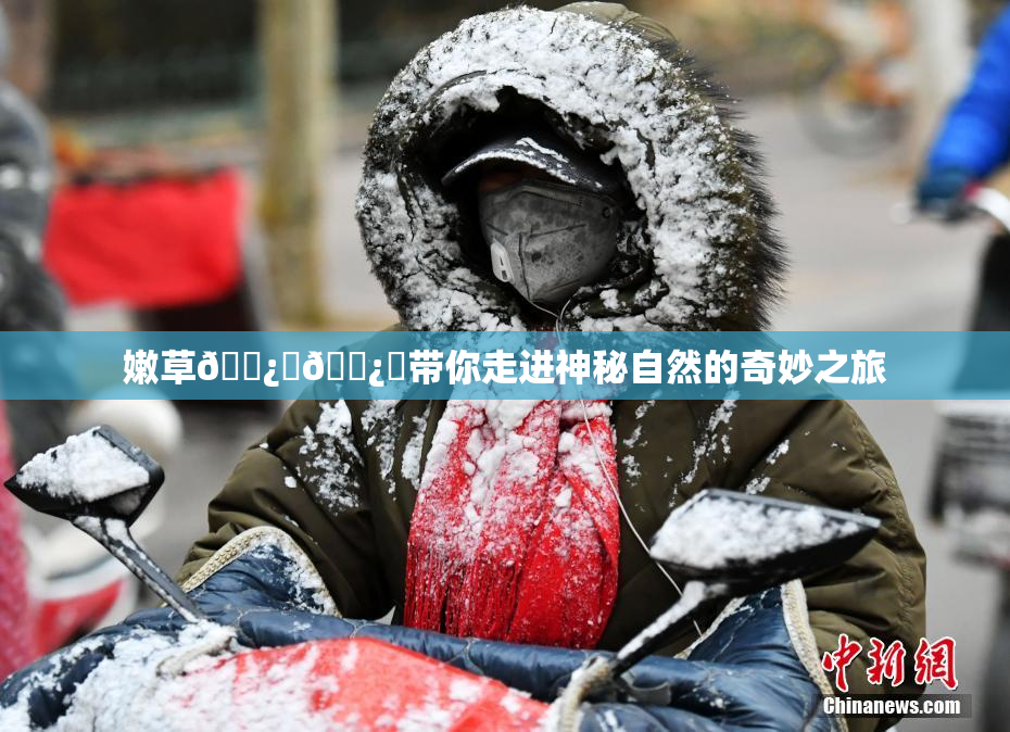 嫩草🌿‌🌿‌带你走进神秘自然的奇妙之旅