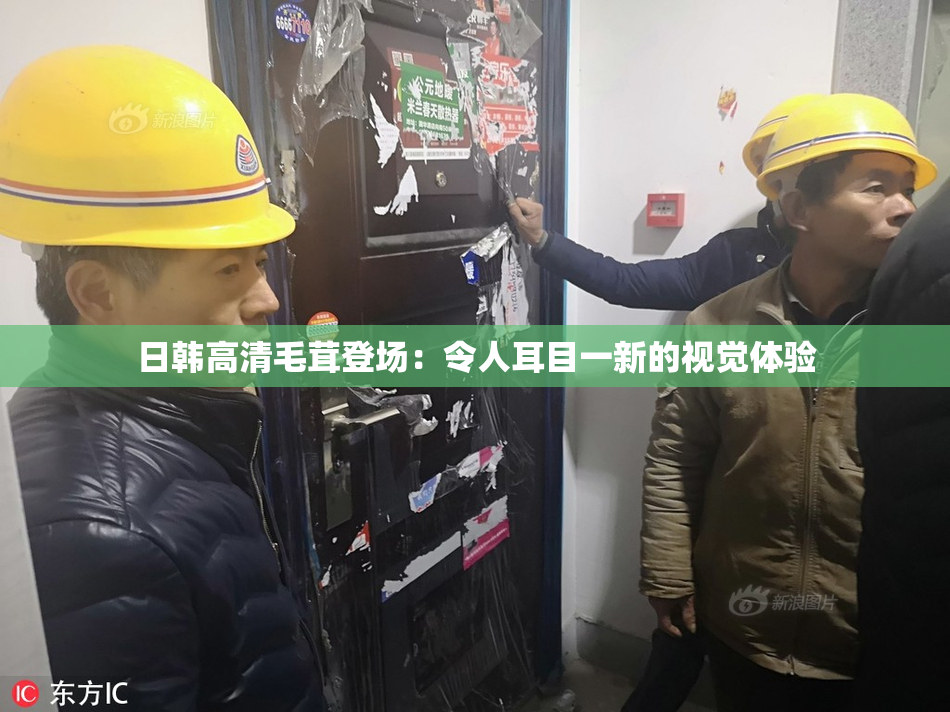 日韩高清毛茸登场：令人耳目一新的视觉体验