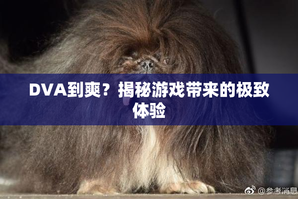 DVA到爽？揭秘游戏带来的极致体验