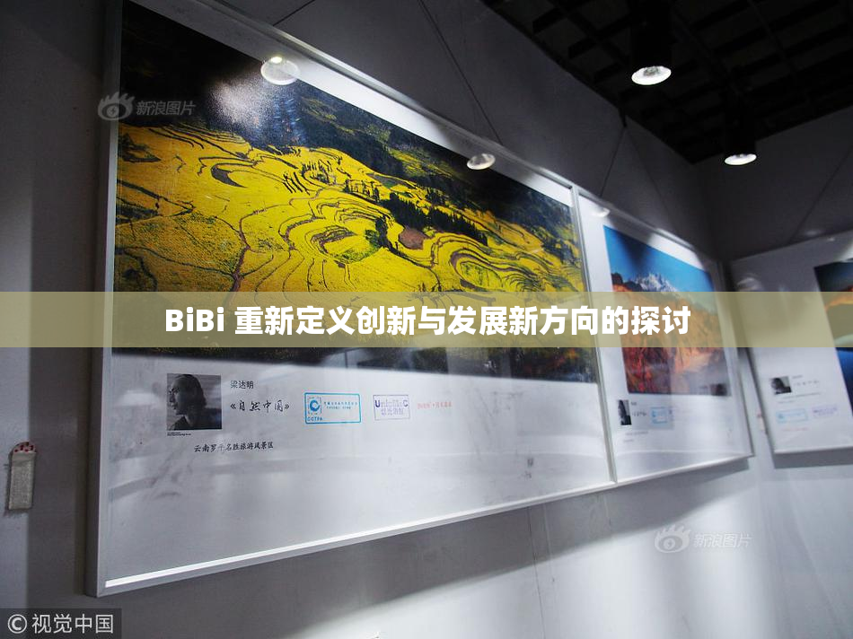 BiBi 重新定义创新与发展新方向的探讨