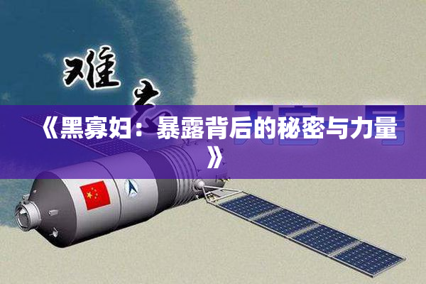 《黑寡妇：暴露背后的秘密与力量》