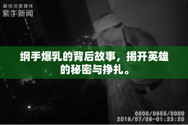 纲手爆乳的背后故事，揭开英雄的秘密与挣扎。