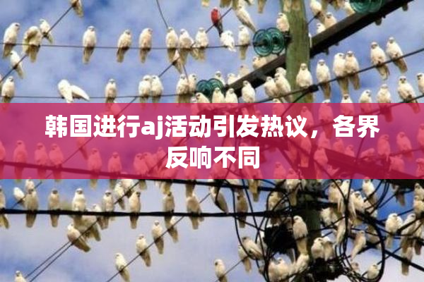 韩国进行aj活动引发热议，各界反响不同