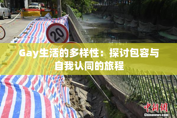 Gay生活的多样性：探讨包容与自我认同的旅程