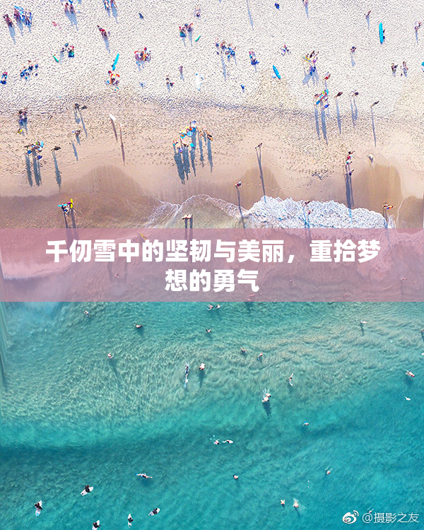 千仞雪中的坚韧与美丽，重拾梦想的勇气