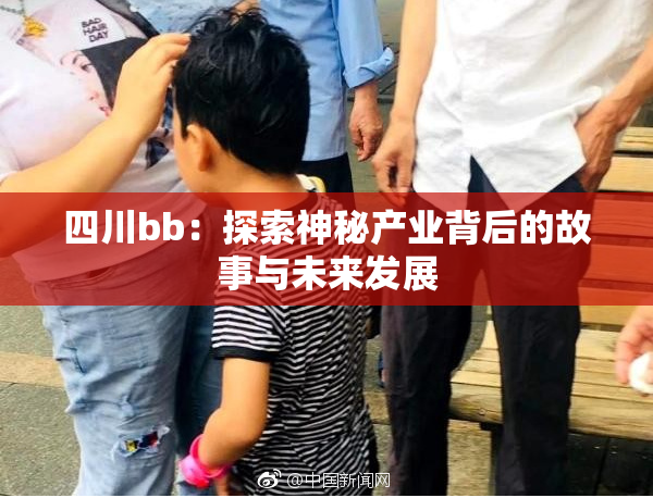 四川bb：探索神秘产业背后的故事与未来发展