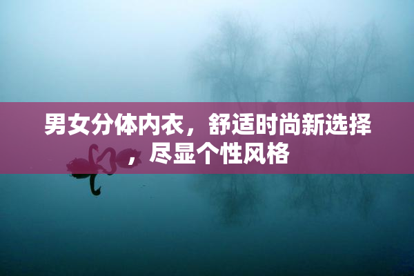 男女分体内衣，舒适时尚新选择，尽显个性风格