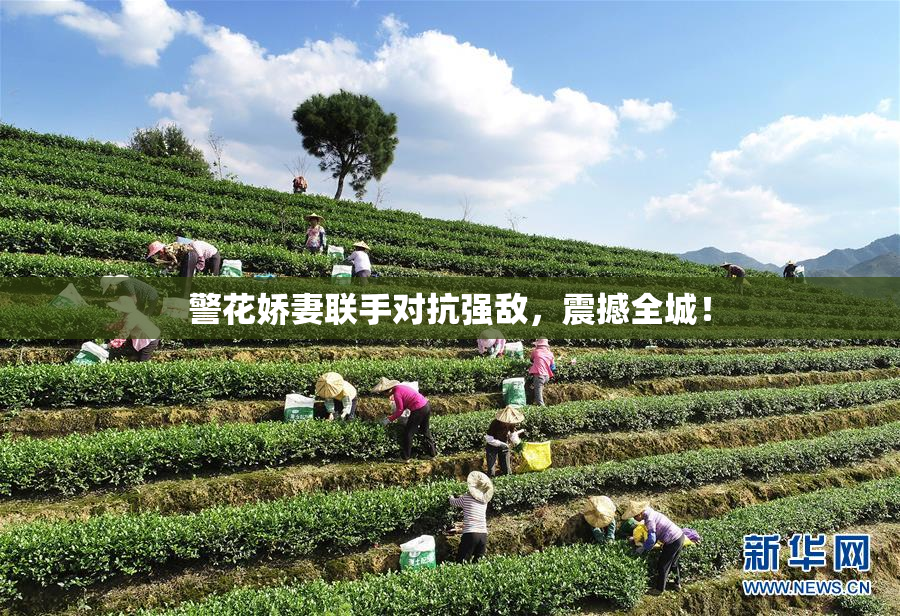 警花娇妻联手对抗强敌，震撼全城！