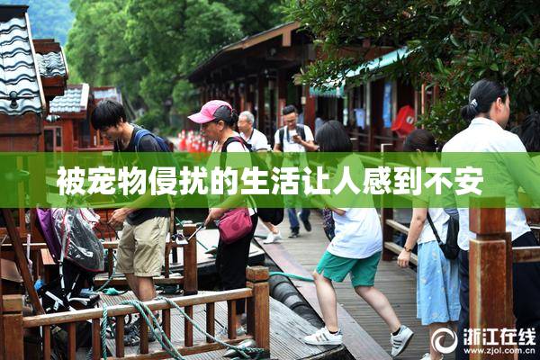被宠物侵扰的生活让人感到不安