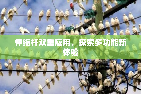 伸缩杆双重应用，探索多功能新体验