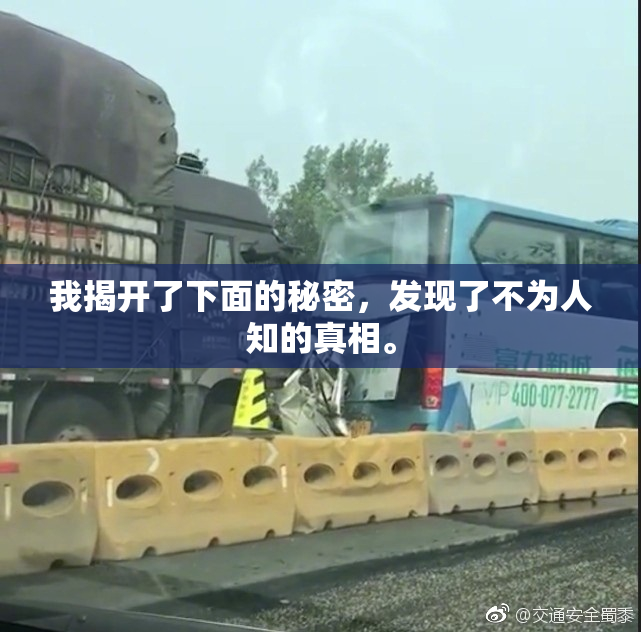 我揭开了下面的秘密，发现了不为人知的真相。