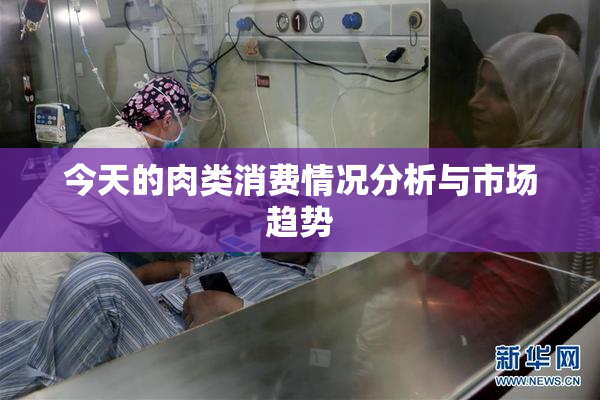 今天的肉类消费情况分析与市场趋势