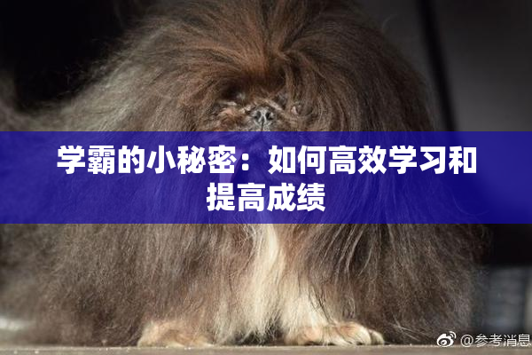 学霸的小秘密：如何高效学习和提高成绩