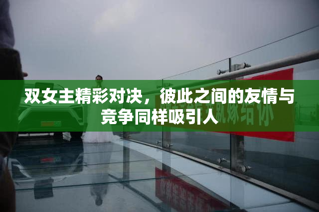 双女主精彩对决，彼此之间的友情与竞争同样吸引人