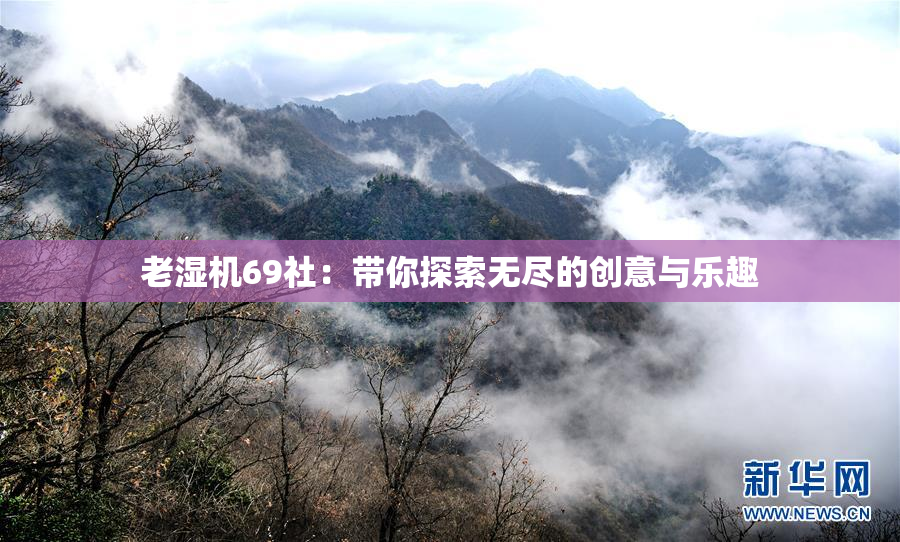 老湿机69社：带你探索无尽的创意与乐趣