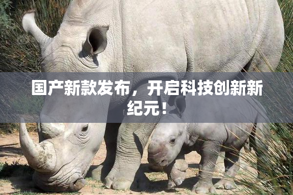 国产新款发布，开启科技创新新纪元！