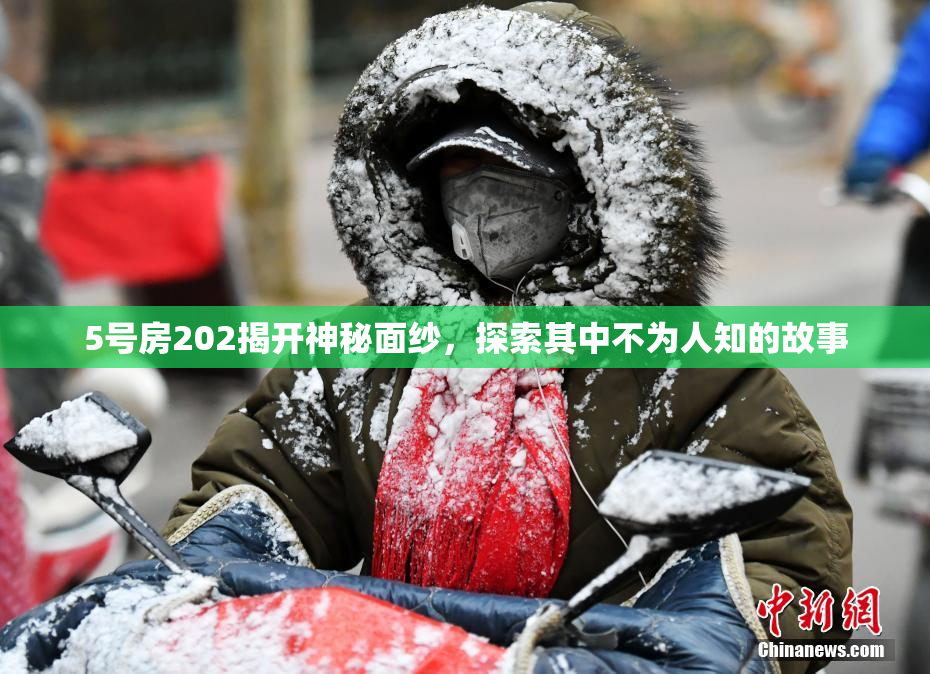 5号房202揭开神秘面纱，探索其中不为人知的故事