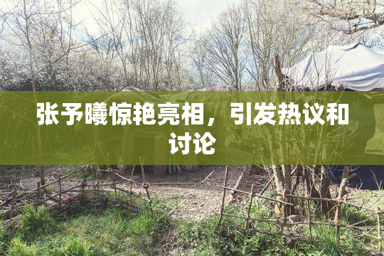 张予曦惊艳亮相，引发热议和讨论