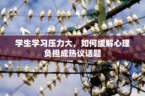 学生学习压力大，如何缓解心理负担成热议话题