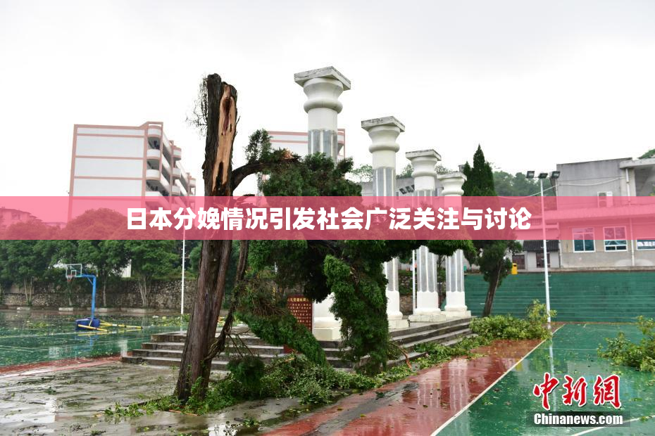 日本分娩情况引发社会广泛关注与讨论