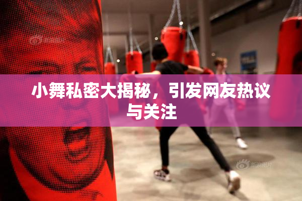 小舞私密大揭秘，引发网友热议与关注