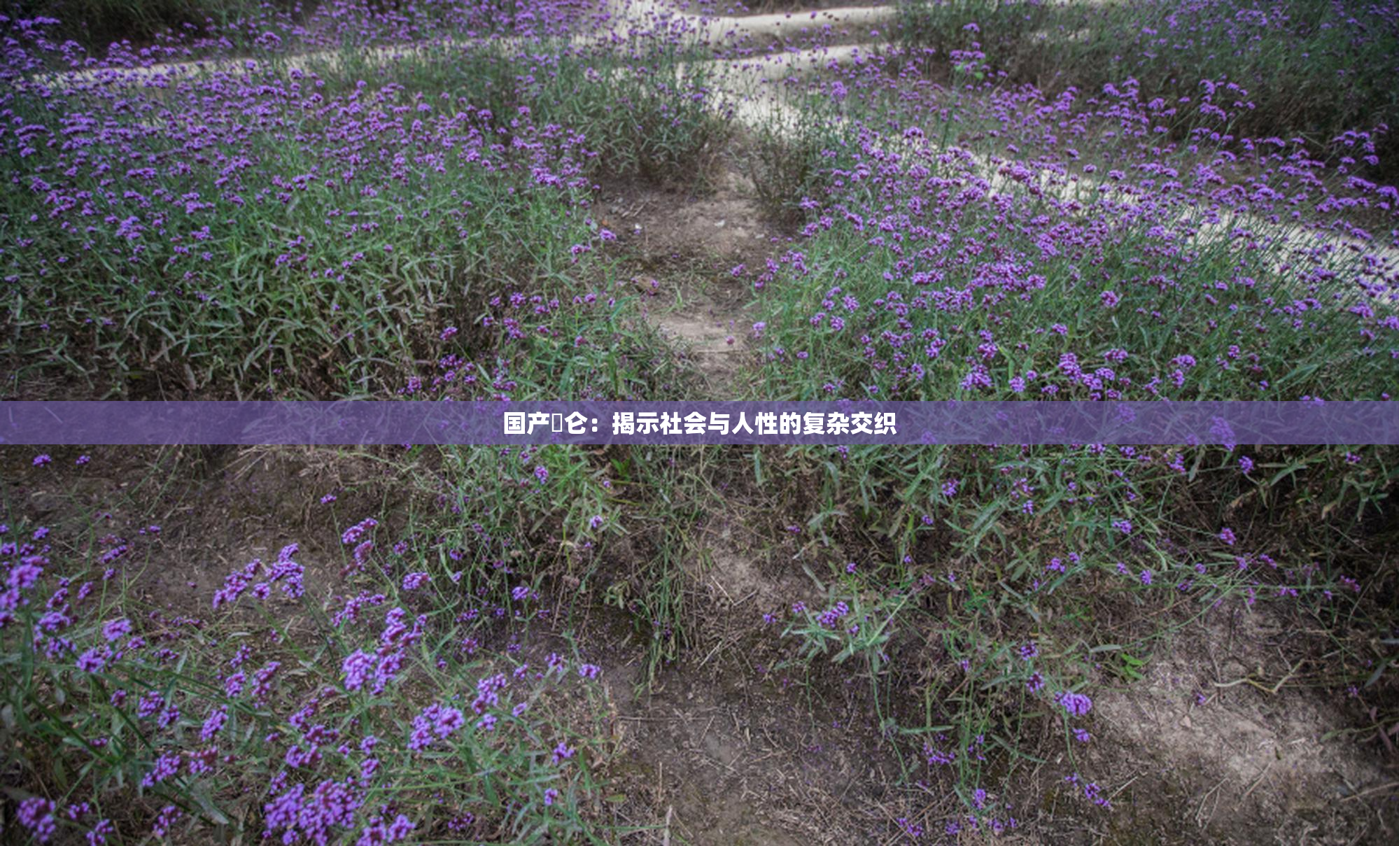 国产婬仑：揭示社会与人性的复杂交织