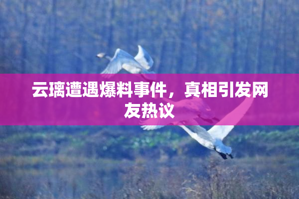 云璃遭遇爆料事件，真相引发网友热议