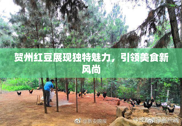 贺州红豆展现独特魅力，引领美食新风尚
