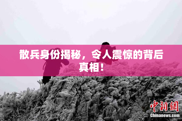 散兵身份揭秘，令人震惊的背后真相！