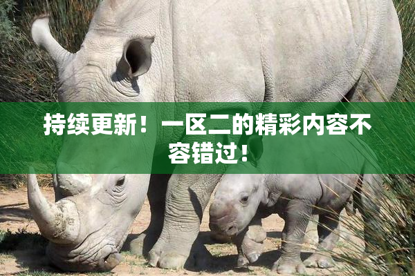 持续更新！一区二的精彩内容不容错过！